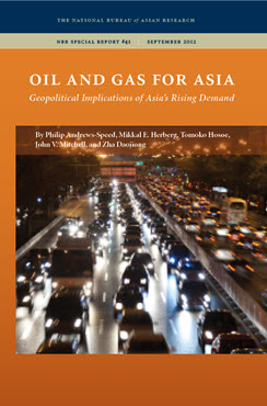 Do Overseas Investments by National Oil Companies Enhance Energy Security at Home? A View from Asia